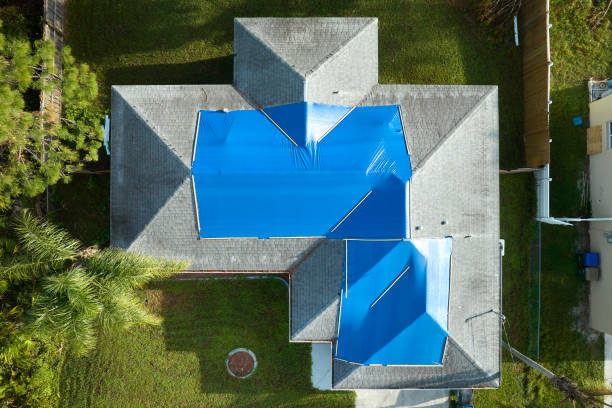 Best Asphalt Shingles Roofing  in Whitesboro, TX
