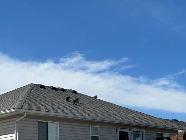 Best Hot Roofs  in Whitesboro, TX
